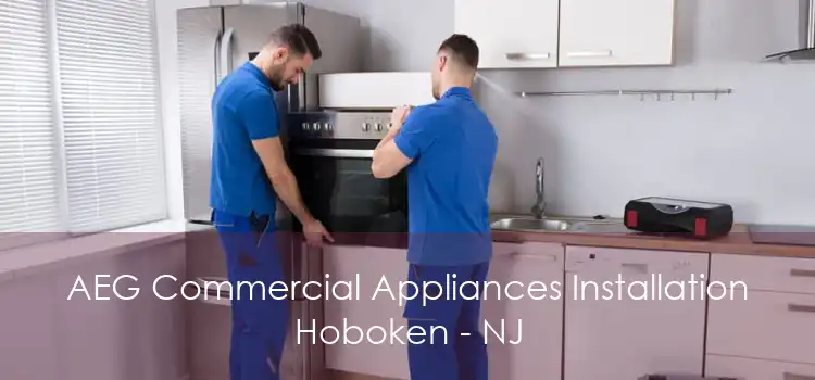 AEG Commercial Appliances Installation Hoboken - NJ