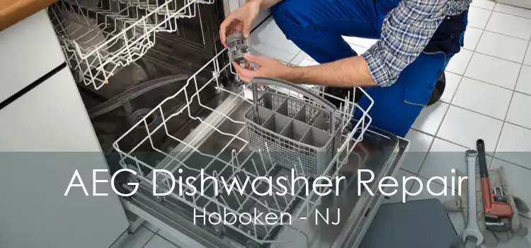 AEG Dishwasher Repair Hoboken - NJ