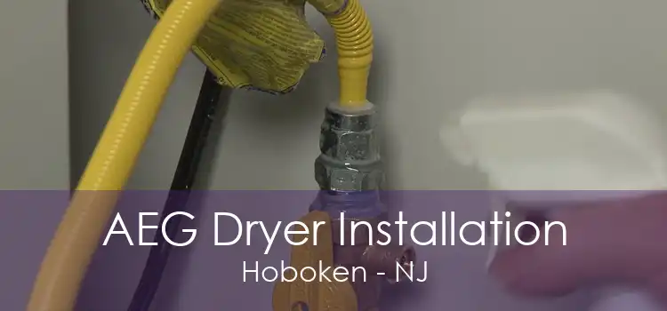 AEG Dryer Installation Hoboken - NJ