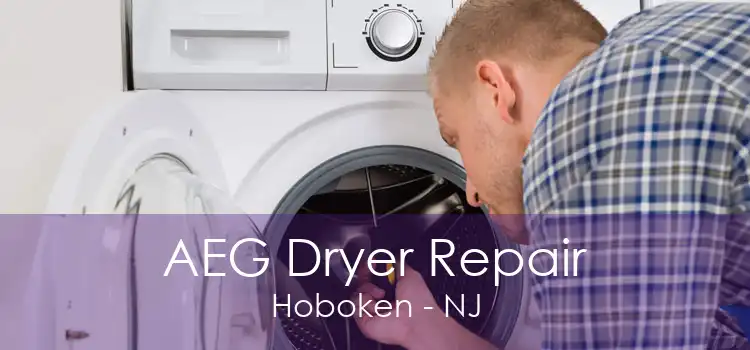 AEG Dryer Repair Hoboken - NJ