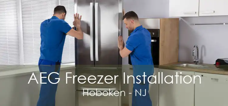 AEG Freezer Installation Hoboken - NJ