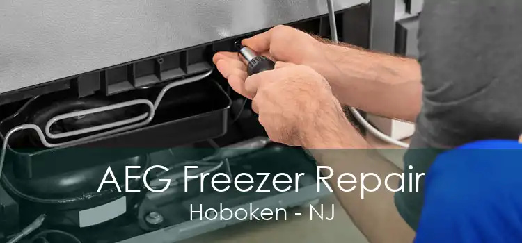 AEG Freezer Repair Hoboken - NJ