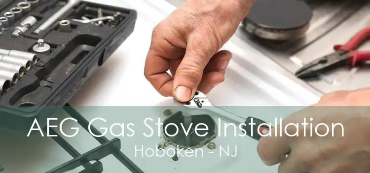 AEG Gas Stove Installation Hoboken - NJ