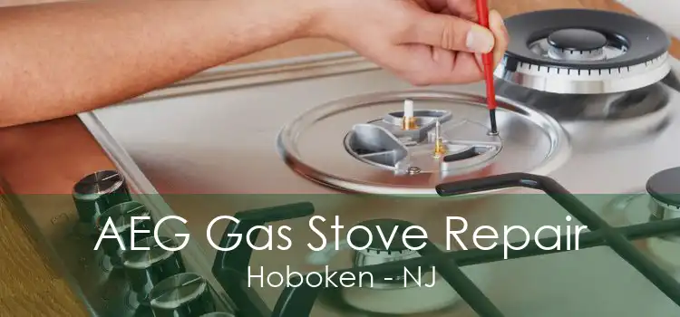 AEG Gas Stove Repair Hoboken - NJ