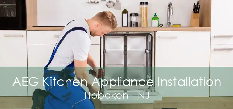 AEG Kitchen Appliance Installation Hoboken - NJ