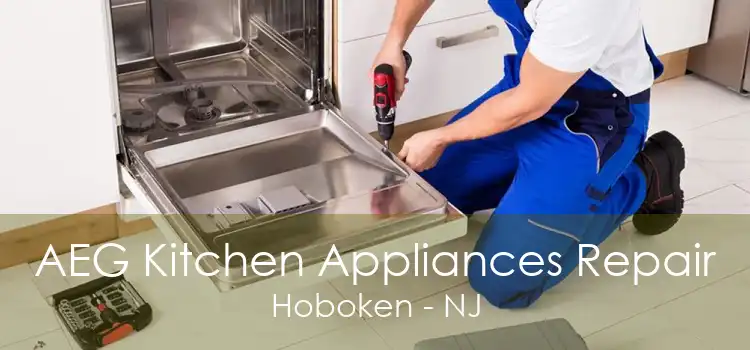 AEG Kitchen Appliances Repair Hoboken - NJ