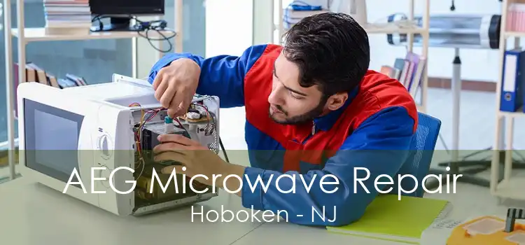 AEG Microwave Repair Hoboken - NJ