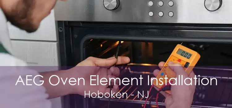 AEG Oven Element Installation Hoboken - NJ