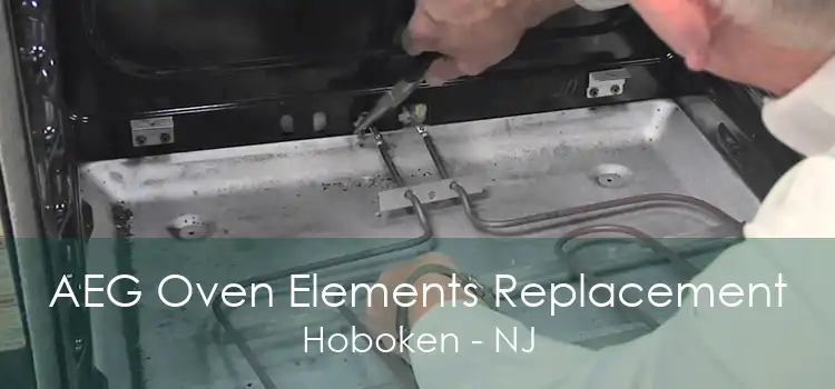 AEG Oven Elements Replacement Hoboken - NJ