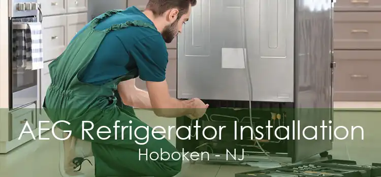 AEG Refrigerator Installation Hoboken - NJ