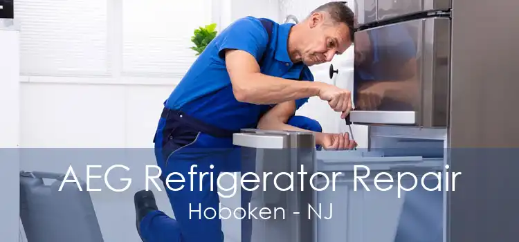 AEG Refrigerator Repair Hoboken - NJ