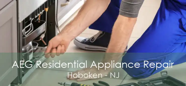 AEG Residential Appliance Repair Hoboken - NJ