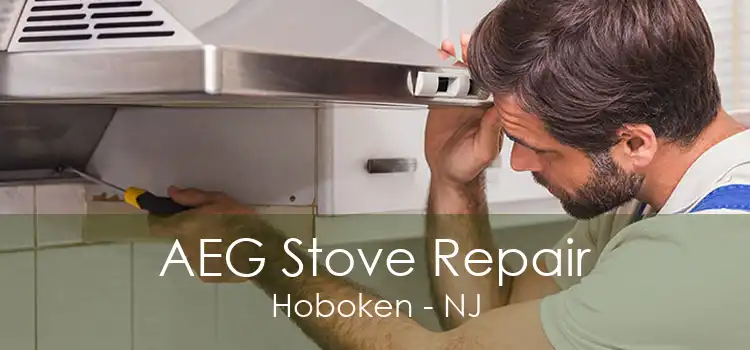 AEG Stove Repair Hoboken - NJ