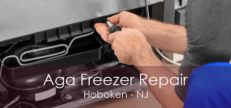 Aga Freezer Repair Hoboken - NJ