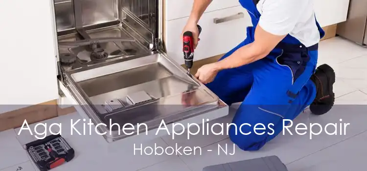 Aga Kitchen Appliances Repair Hoboken - NJ