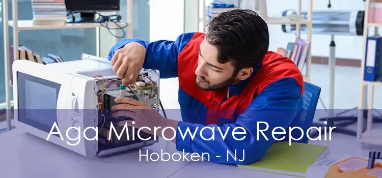 Aga Microwave Repair Hoboken - NJ