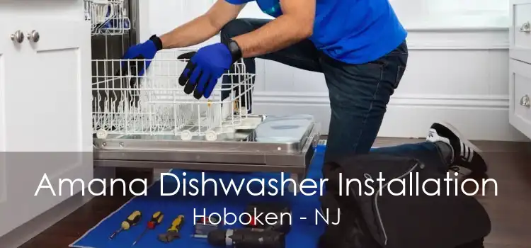 Amana Dishwasher Installation Hoboken - NJ