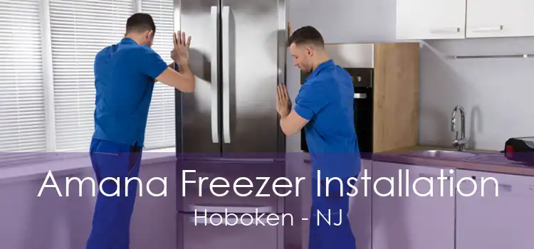 Amana Freezer Installation Hoboken - NJ