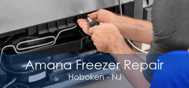 Amana Freezer Repair Hoboken - NJ