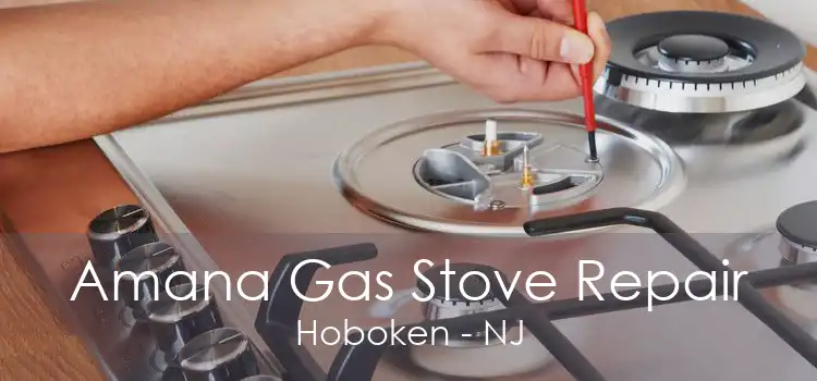 Amana Gas Stove Repair Hoboken - NJ