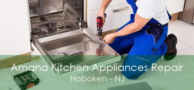 Amana Kitchen Appliances Repair Hoboken - NJ