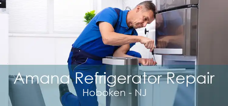 Amana Refrigerator Repair Hoboken - NJ