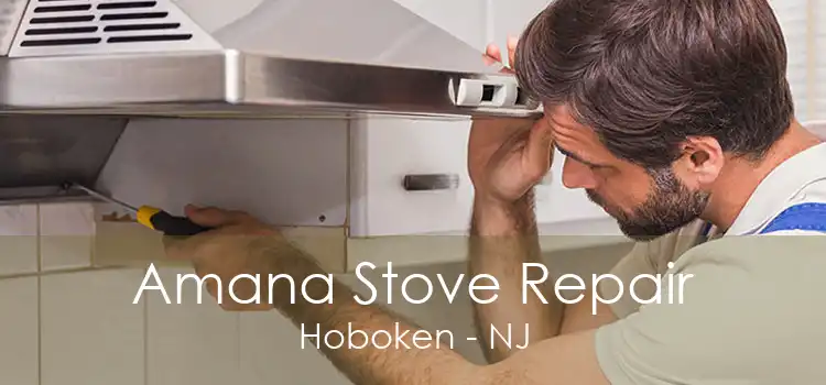 Amana Stove Repair Hoboken - NJ