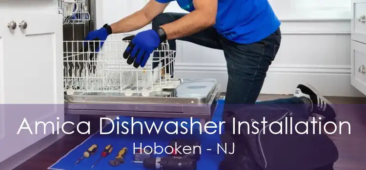 Amica Dishwasher Installation Hoboken - NJ