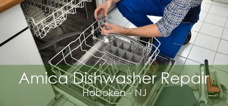 Amica Dishwasher Repair Hoboken - NJ