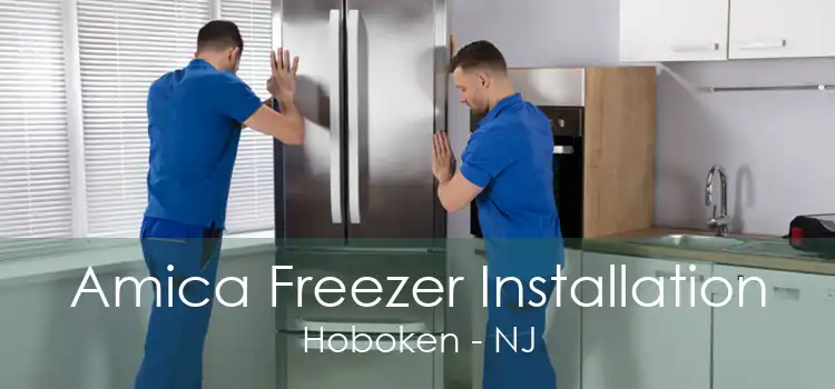 Amica Freezer Installation Hoboken - NJ