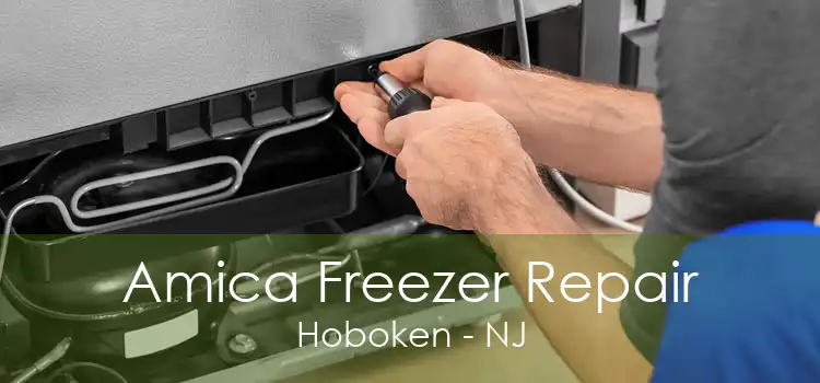 Amica Freezer Repair Hoboken - NJ