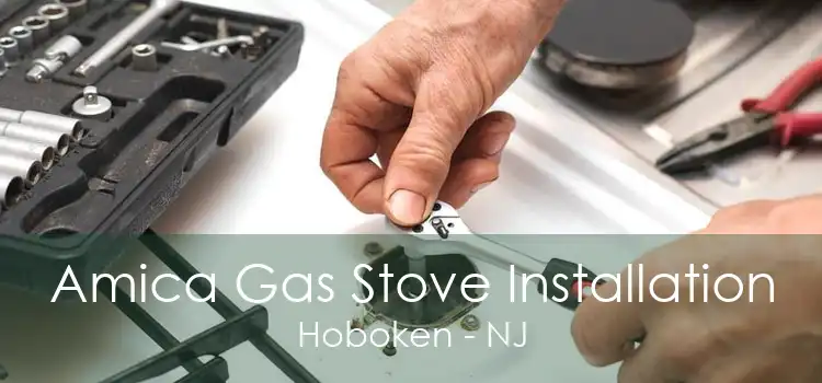 Amica Gas Stove Installation Hoboken - NJ