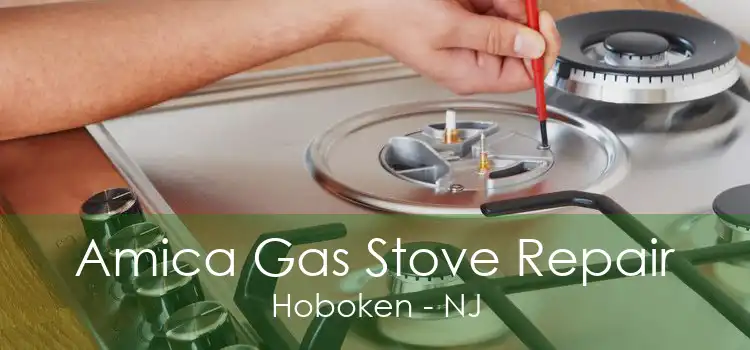 Amica Gas Stove Repair Hoboken - NJ