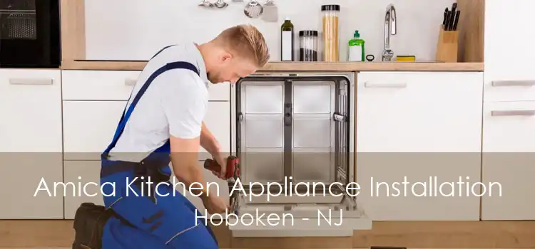 Amica Kitchen Appliance Installation Hoboken - NJ