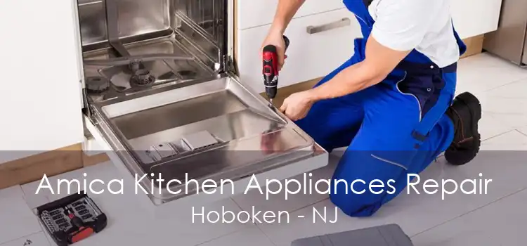 Amica Kitchen Appliances Repair Hoboken - NJ