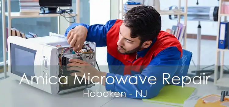 Amica Microwave Repair Hoboken - NJ