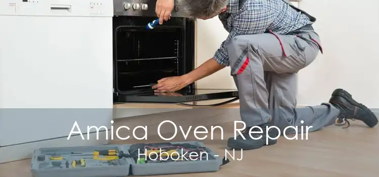 Amica Oven Repair Hoboken - NJ