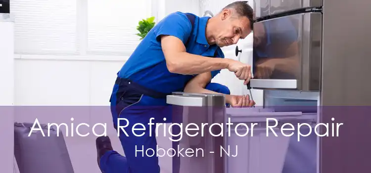 Amica Refrigerator Repair Hoboken - NJ