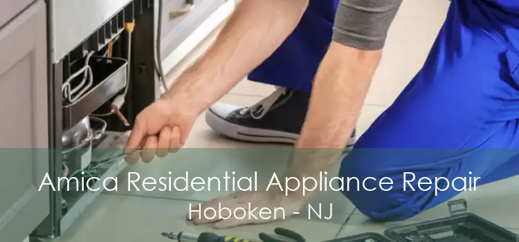 Amica Residential Appliance Repair Hoboken - NJ