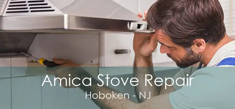 Amica Stove Repair Hoboken - NJ