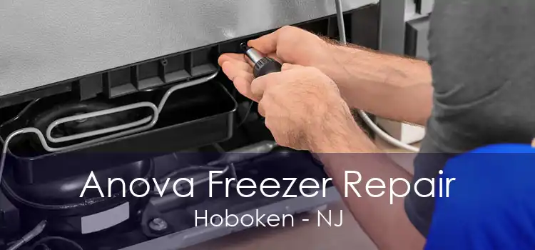 Anova Freezer Repair Hoboken - NJ