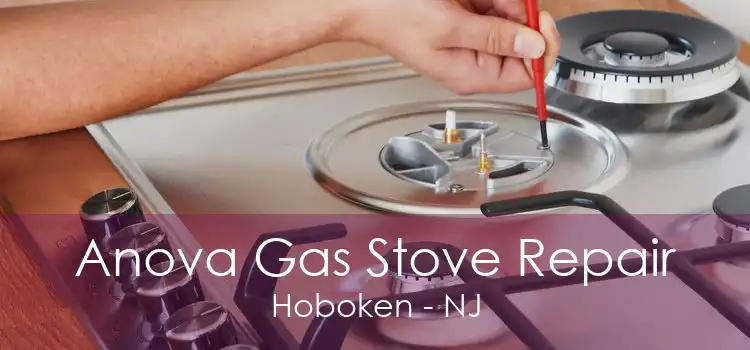 Anova Gas Stove Repair Hoboken - NJ