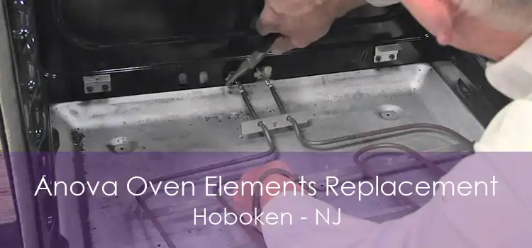 Anova Oven Elements Replacement Hoboken - NJ