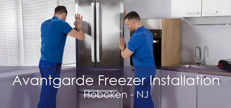 Avantgarde Freezer Installation Hoboken - NJ