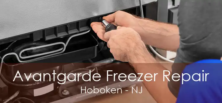 Avantgarde Freezer Repair Hoboken - NJ