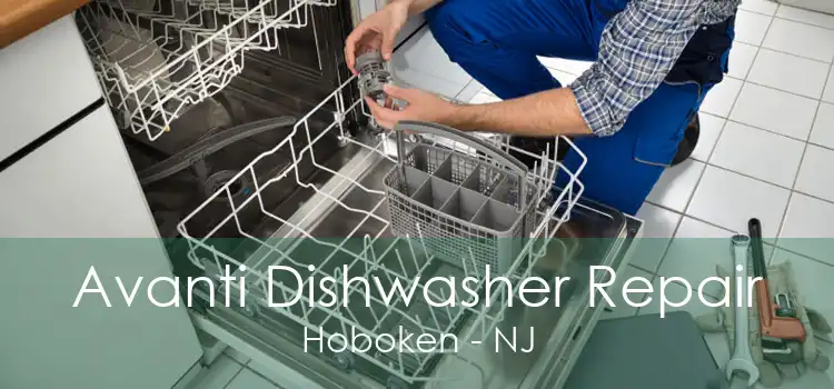 Avanti Dishwasher Repair Hoboken - NJ