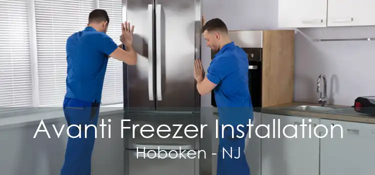 Avanti Freezer Installation Hoboken - NJ