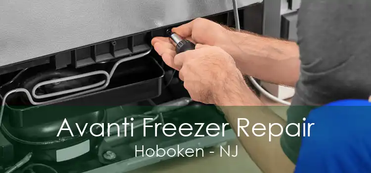 Avanti Freezer Repair Hoboken - NJ