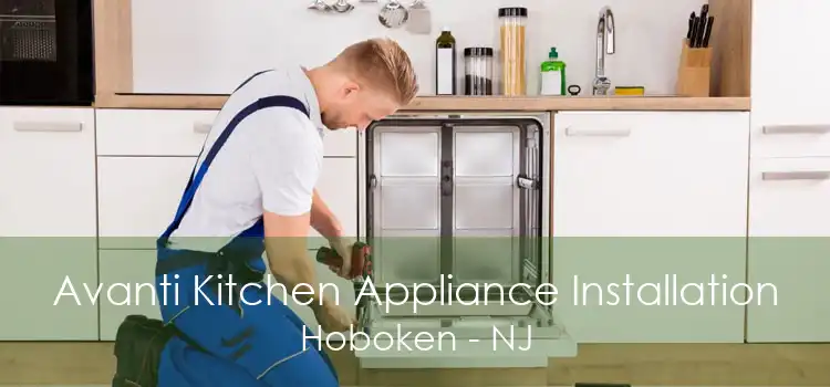 Avanti Kitchen Appliance Installation Hoboken - NJ