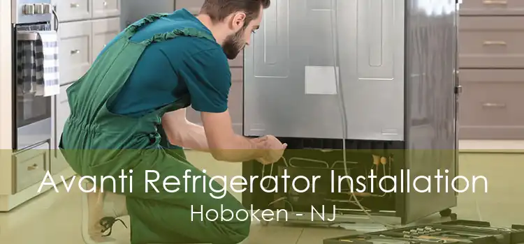 Avanti Refrigerator Installation Hoboken - NJ